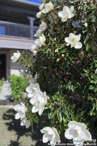 Image 53 of 57 For 11715 Violet Cove