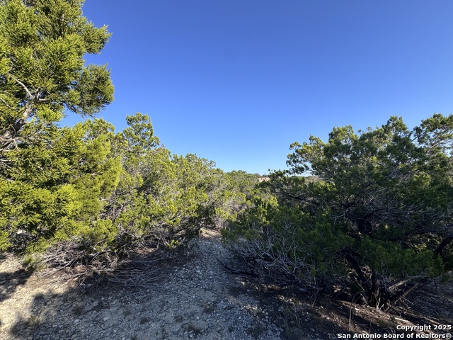 Listing photo id 4 for 205 Center Point Rd.