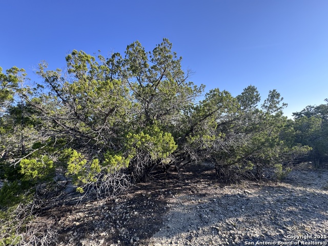 Listing photo id 6 for 205 Center Point Rd.