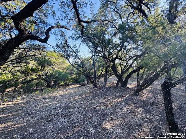 Image 10 of 29 For 169 Center Point Rd.