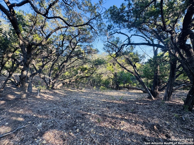 Image 4 of 29 For 169 Center Point Rd.