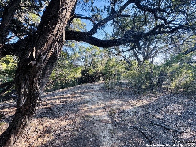 Image 5 of 29 For 169 Center Point Rd.