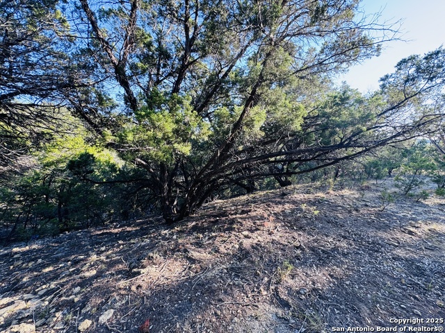 Image 7 of 29 For 169 Center Point Rd.