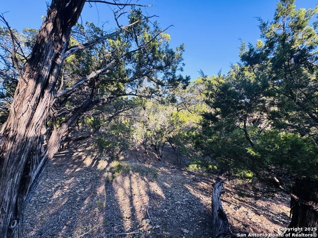 Image 9 of 29 For 169 Center Point Rd.