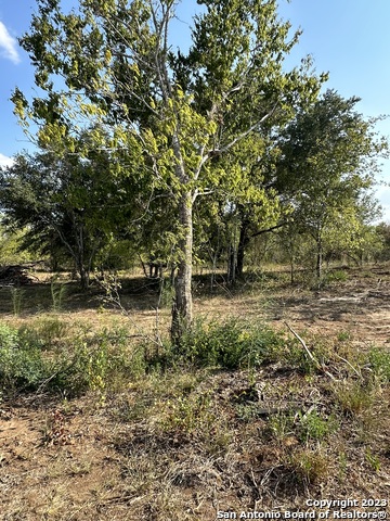 Details for 5894 Fm 1107 Unit B-tract 1, Stockdale, TX 78160