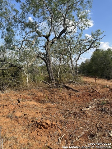 Image 12 of 16 For 5894 Fm 1107 Unit B-tract 1