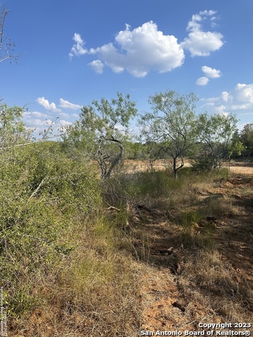 Image 13 of 16 For 5894 Fm 1107 Unit B-tract 1