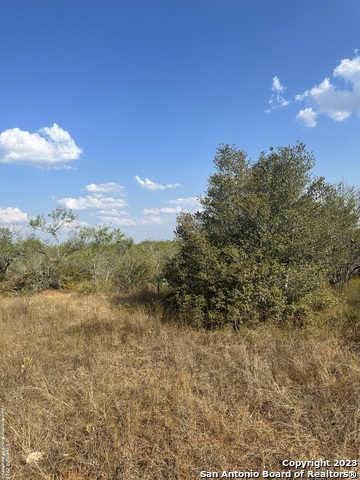 Image 14 of 16 For 5894 Fm 1107 Unit B-tract 1