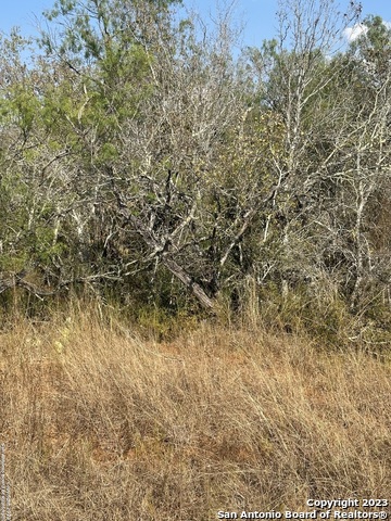 Image 16 of 16 For 5894 Fm 1107 Unit B-tract 1