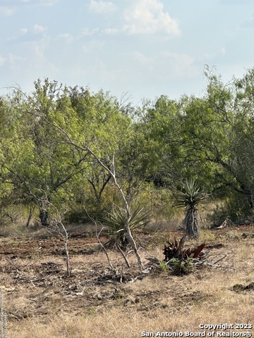 Image 3 of 16 For 5894 Fm 1107 Unit B-tract 1