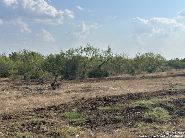 Image 7 of 16 For 5894 Fm 1107 Unit B-tract 1