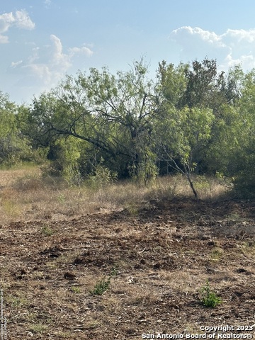 Image 9 of 16 For 5894 Fm 1107 Unit B-tract 1