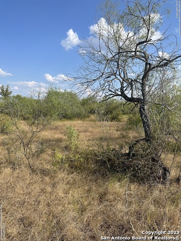 Image 8 of 12 For 5894 Fm 1107 Unit A-tract 2