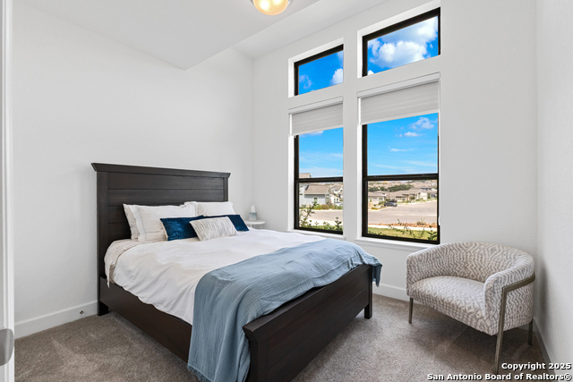 Image 6 of 37 For 250 Navarro  