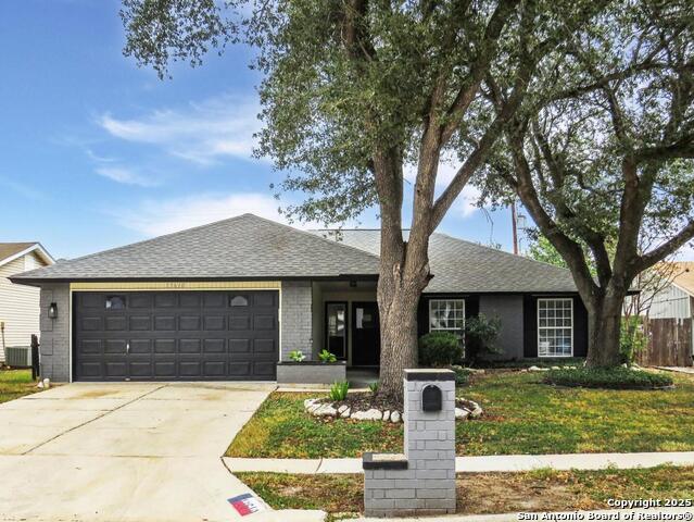 Image 2 of 43 For 13610 Earlywood