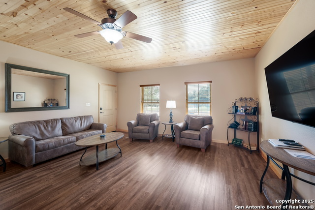 Image 9 of 16 For 1554 Gruene A3