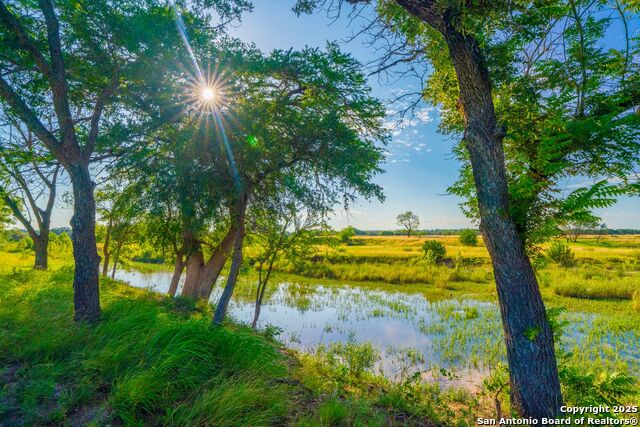 Image 10 of 28 For 112 Majestic Oaks Drive