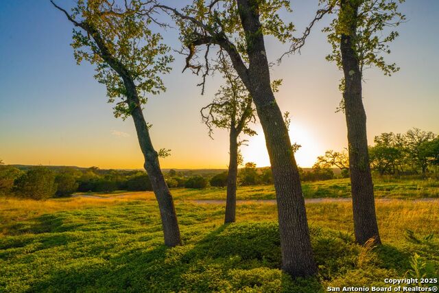 Image 26 of 28 For 112 Majestic Oaks Drive