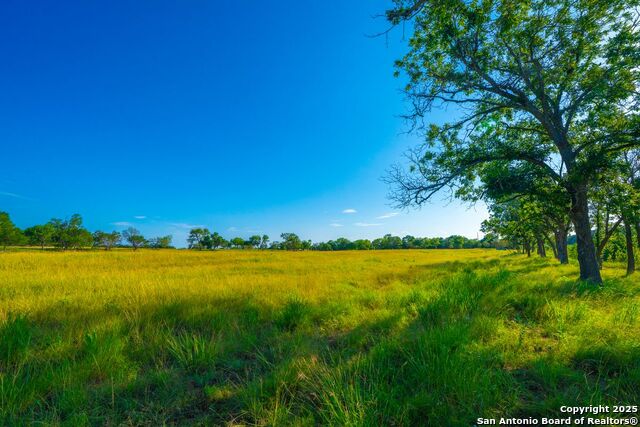 Image 4 of 28 For 112 Majestic Oaks Drive