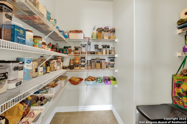 Image 11 of 36 For 1134 Ruddy Duck