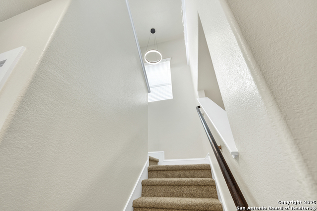 Image 13 of 36 For 1134 Ruddy Duck