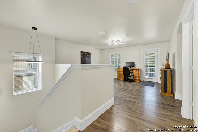 Image 14 of 36 For 1134 Ruddy Duck