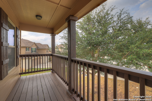 Image 16 of 36 For 1134 Ruddy Duck