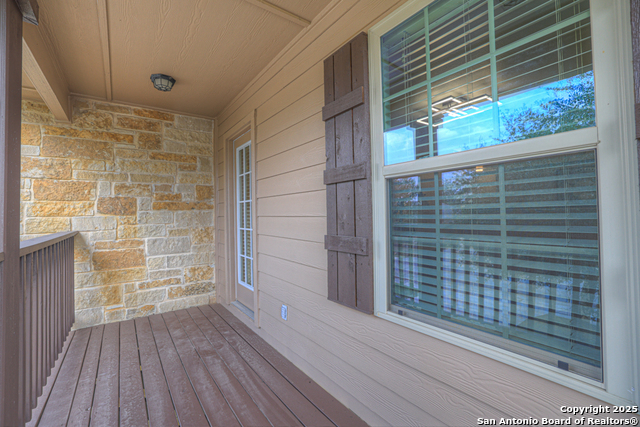 Image 17 of 36 For 1134 Ruddy Duck