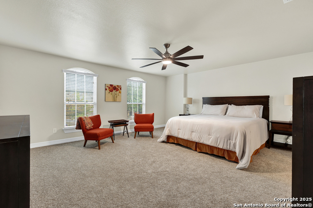 Image 19 of 36 For 1134 Ruddy Duck