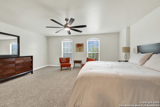 Image 20 of 36 For 1134 Ruddy Duck