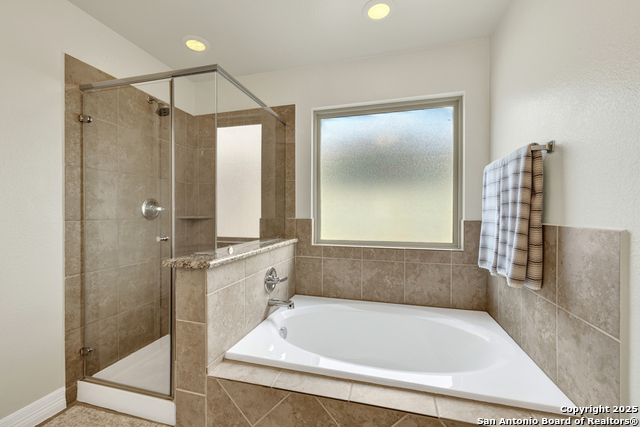 Image 22 of 36 For 1134 Ruddy Duck