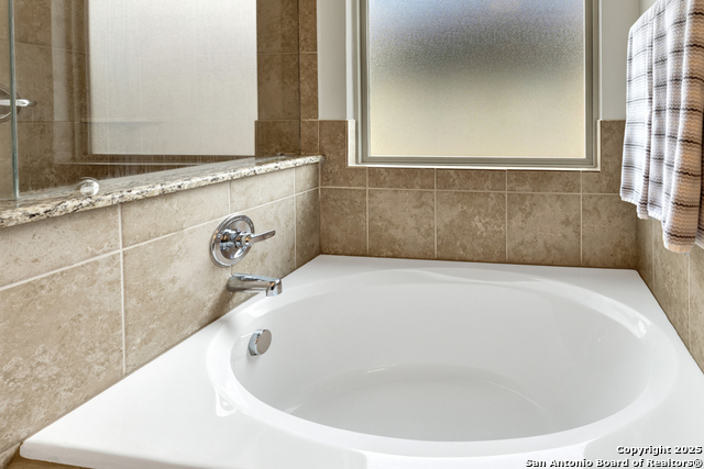 Image 23 of 36 For 1134 Ruddy Duck