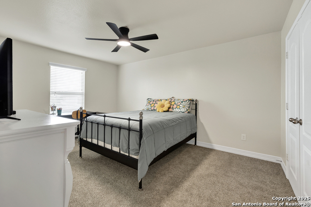 Image 25 of 36 For 1134 Ruddy Duck