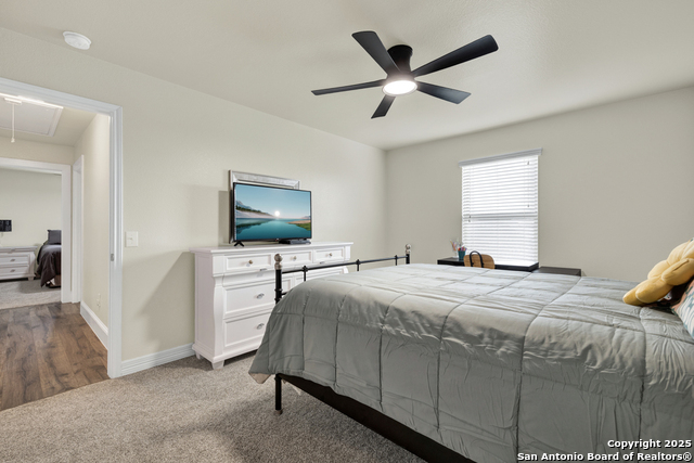 Image 26 of 36 For 1134 Ruddy Duck