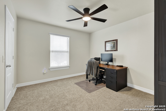 Image 27 of 36 For 1134 Ruddy Duck