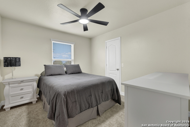 Image 28 of 36 For 1134 Ruddy Duck