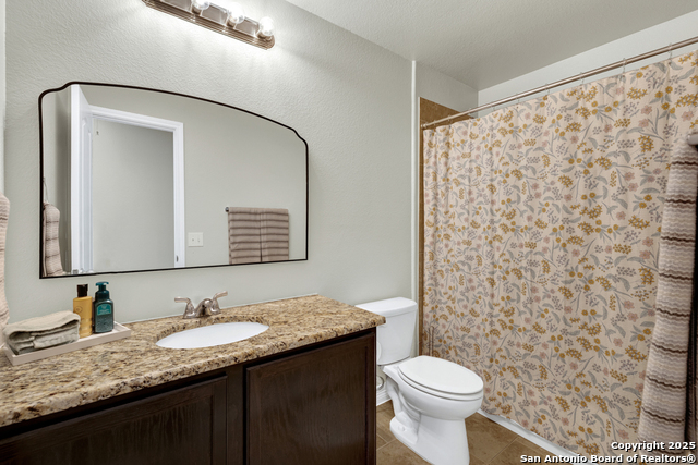 Image 29 of 36 For 1134 Ruddy Duck