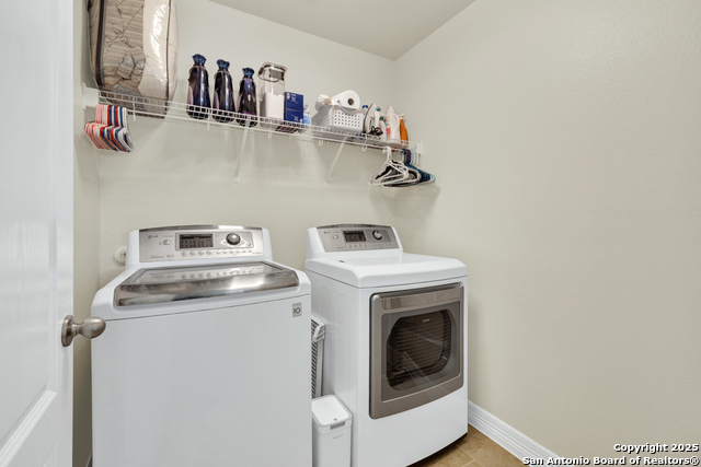 Image 30 of 36 For 1134 Ruddy Duck