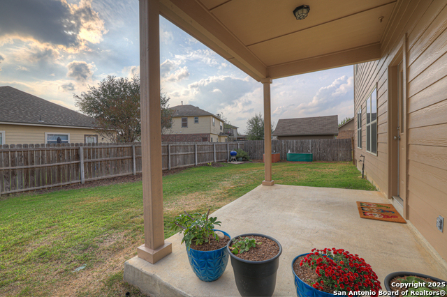 Image 31 of 36 For 1134 Ruddy Duck