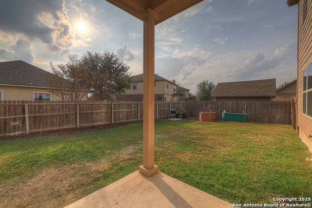 Image 32 of 36 For 1134 Ruddy Duck