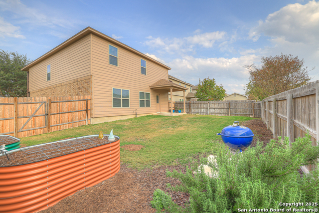 Image 33 of 36 For 1134 Ruddy Duck
