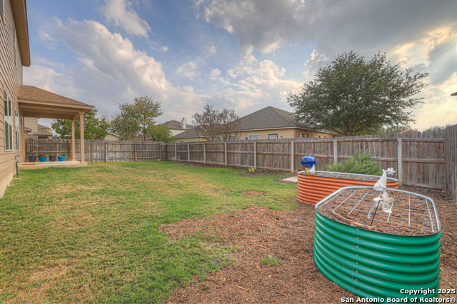 Image 34 of 36 For 1134 Ruddy Duck