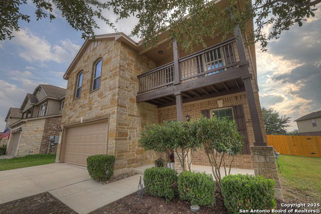 Image 35 of 36 For 1134 Ruddy Duck