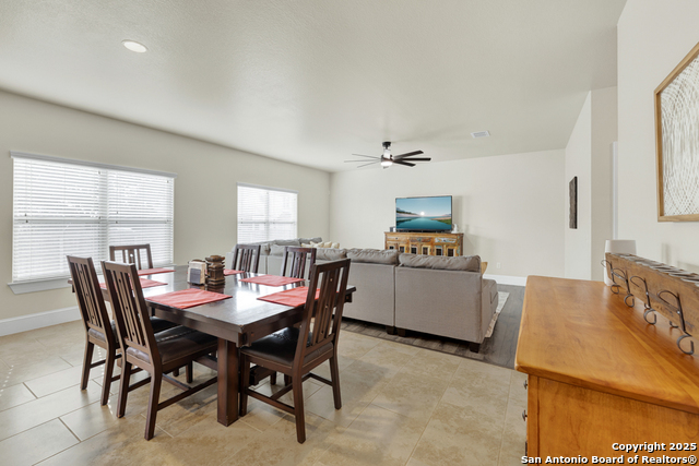 Image 6 of 36 For 1134 Ruddy Duck