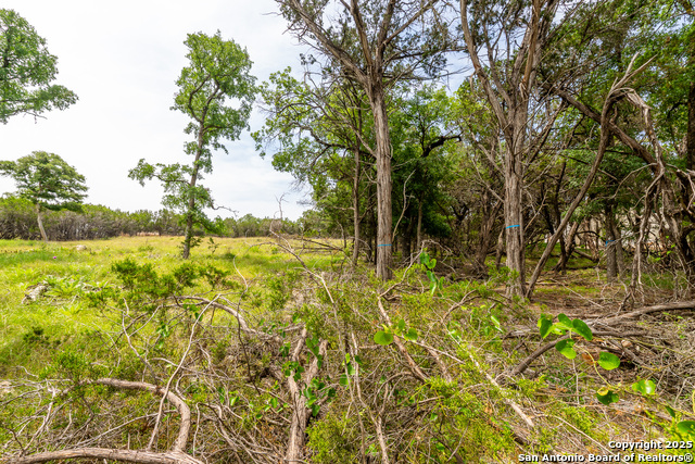 Image 9 of 11 For Lot 9 Cielo Vista