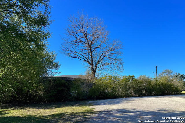 Listing photo id 3 for 212 Wilmot St