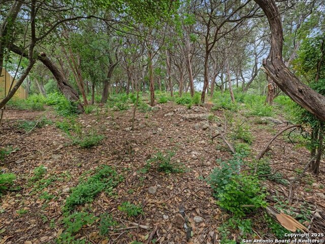 Image 46 of 47 For 3 Benchwood  