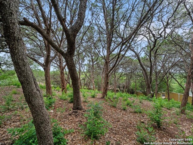 Image 47 of 47 For 3 Benchwood  