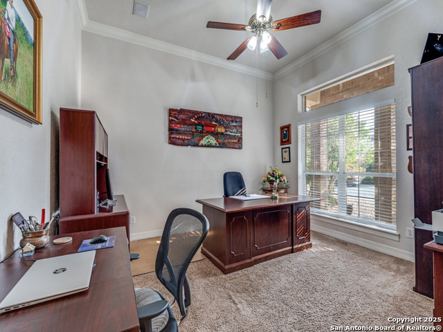 Image 9 of 27 For 8745 Phoenix Ave