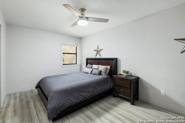 Image 18 of 33 For 1267 Common St E